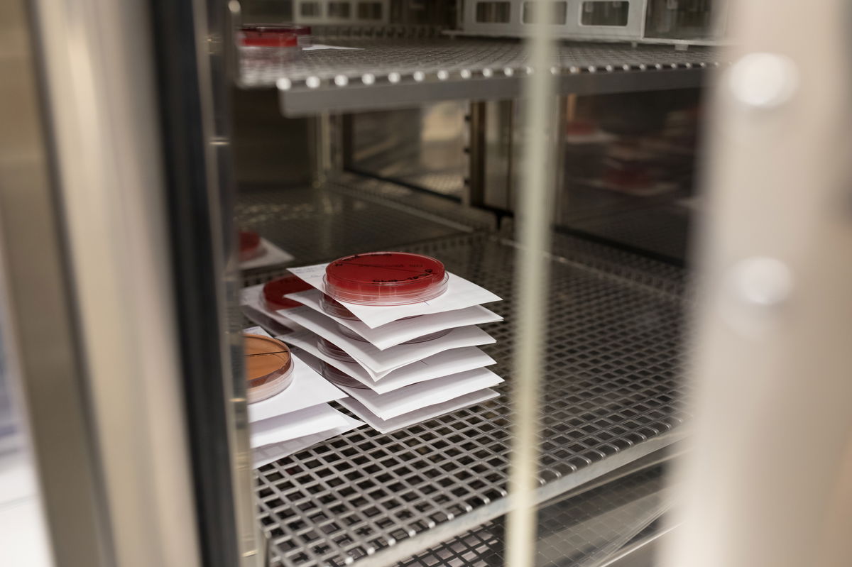 Breyer_Lab_Ilica-111.jpg