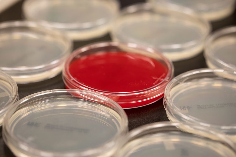 Breyer_Lab_Ilica-121.jpg