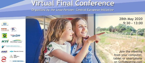 Virtual conference.jpg